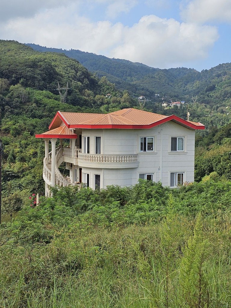 دوخوابه جنگلی بهشت پُتَک