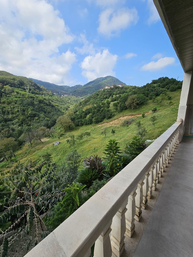 دوخوابه جنگلی بهشت پُتَک