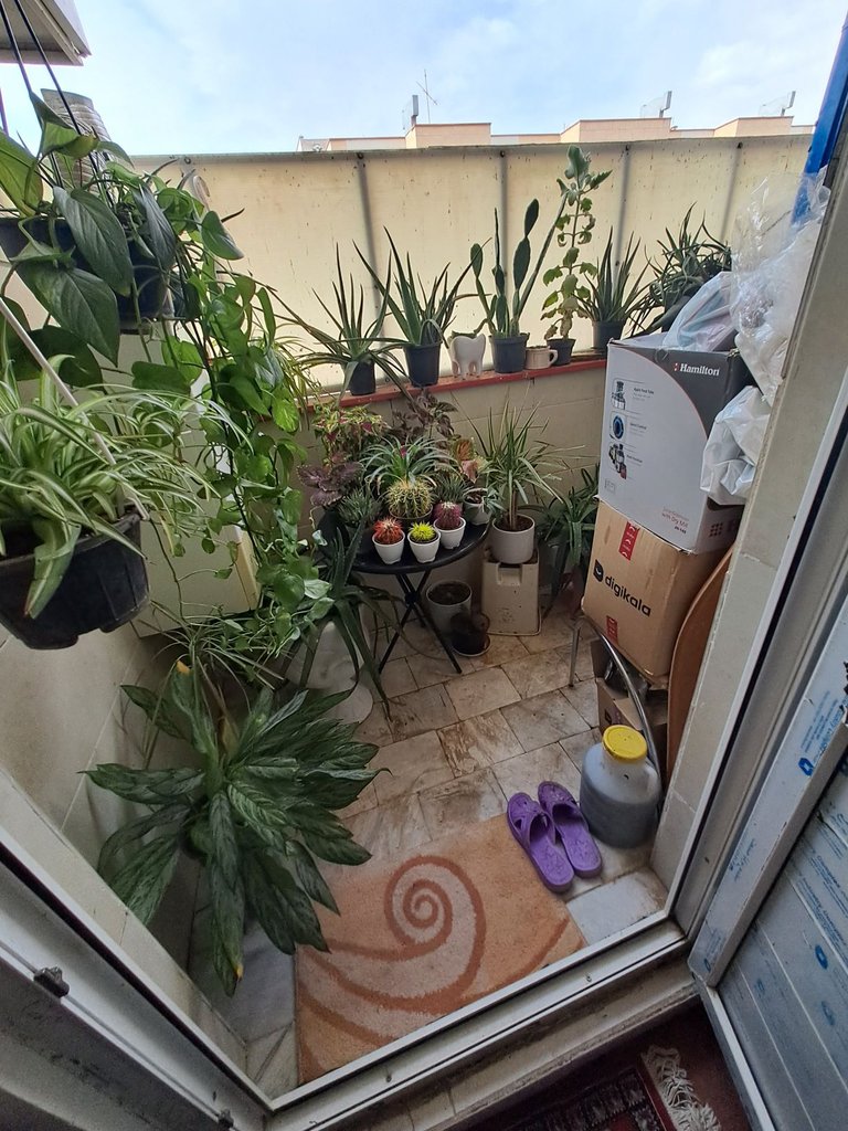 آپارتمان یک خوابه پردیسان1