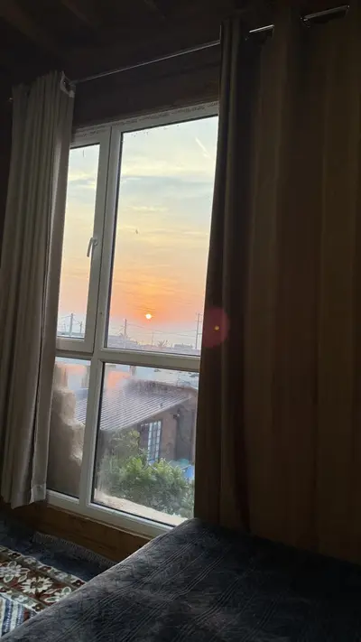 بومگردی ساحلی ورجی - واحد 1