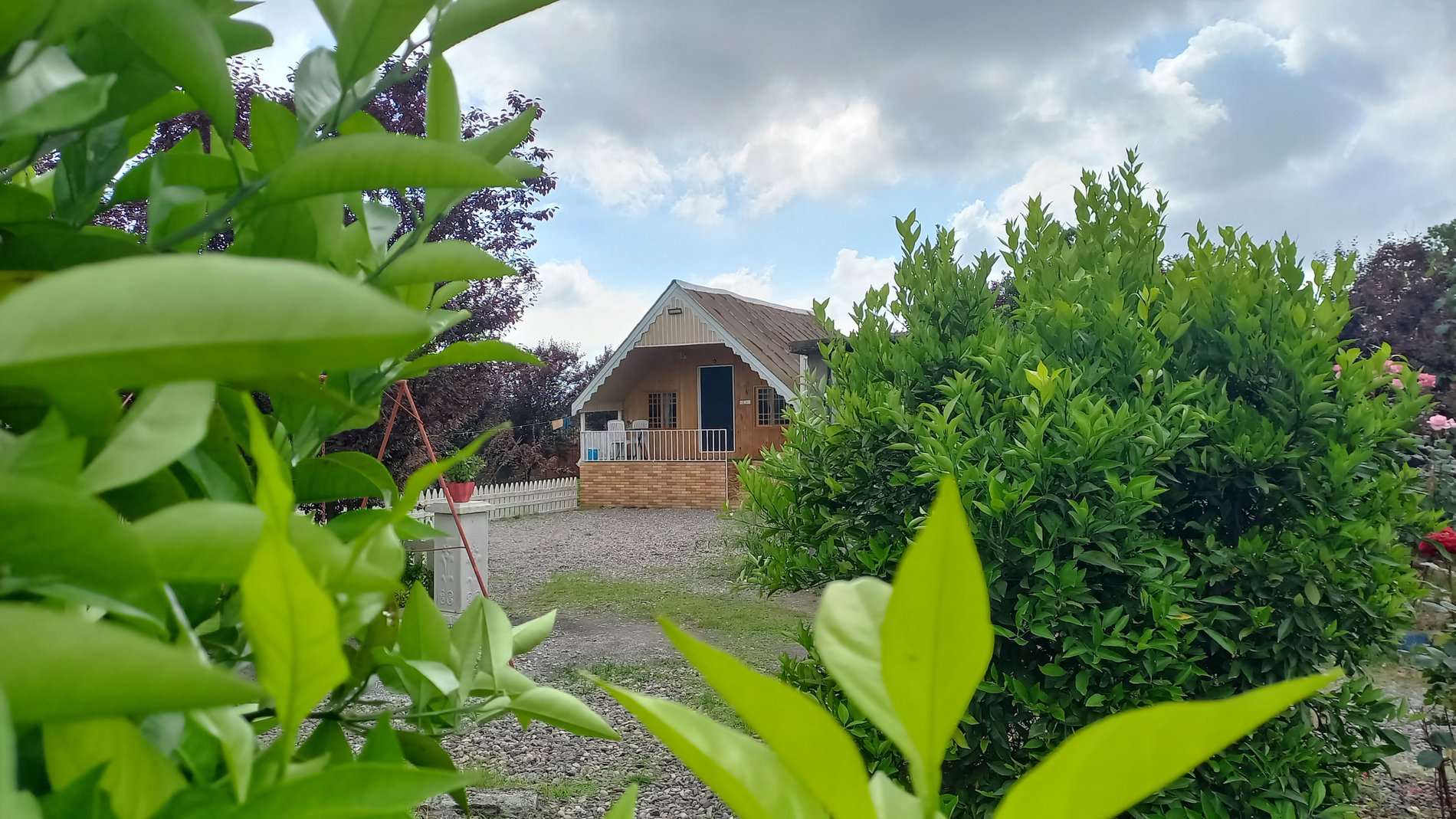 کلبه یک خوابه ترنج 6