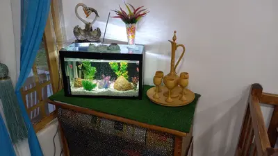 کلبه یک خوابه روستایی شالیزار 1