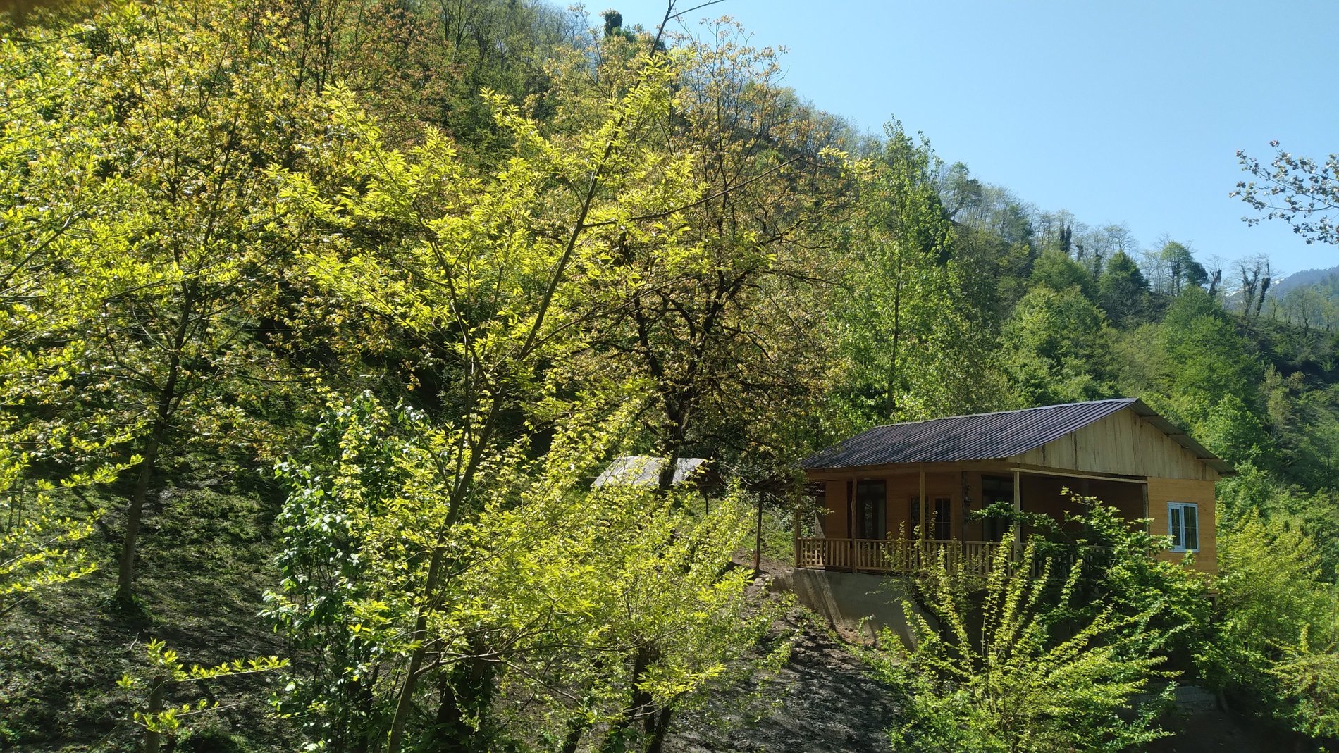 کلبه دوخوابه جنگلی پناه