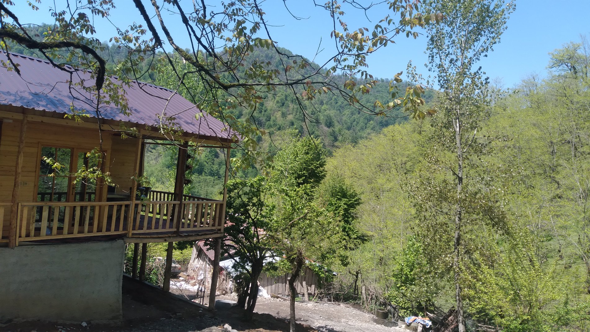 کلبه دوخوابه جنگلی پناه