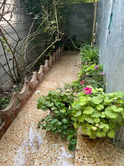 آپارتمان یک خوابه باران فرح آباد