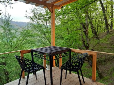 کلبه فلت بلوط 2