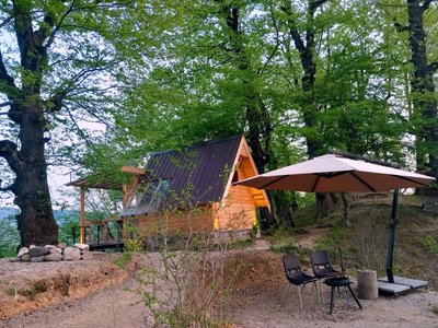 کلبه فلت بلوط 2