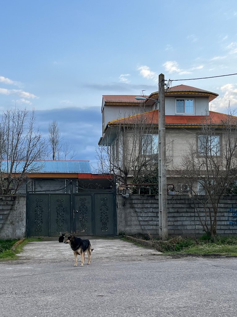 ویلا یک خوابه روستایی سراجار
