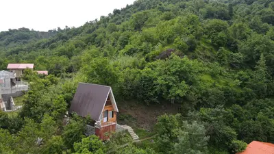 کلبه یک خوابه جنگلی سوئیسی دوبلکس آسایش