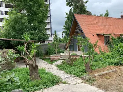 کلبه یک خوابه ساحلی نگین