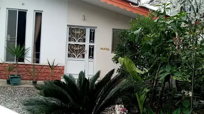 سوئیت فلت گل