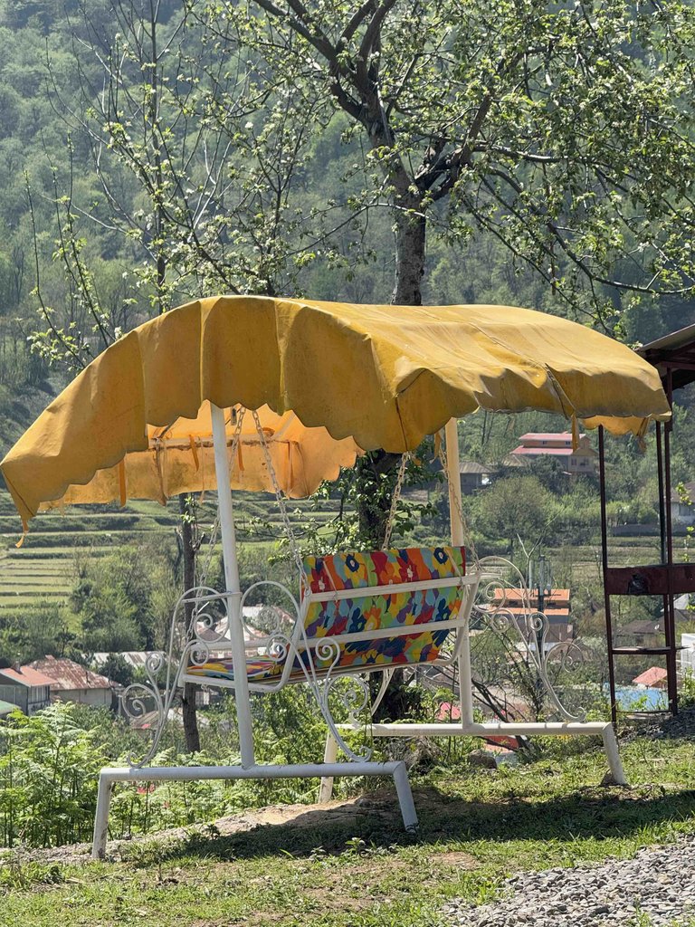 فلت جنگلی عسگری