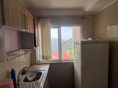 آپارتمان یک خوابه جنگلی ۴۴