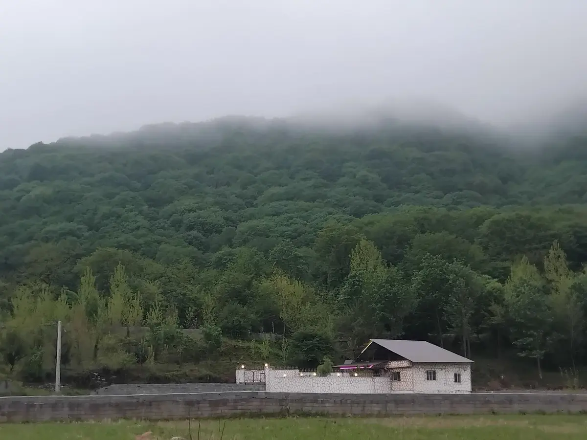 ویلا ویلای سه خواب جنگلی شمشاد