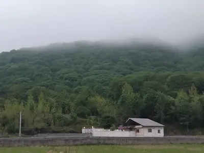 ویلا ویلای سه خواب جنگلی شمشاد