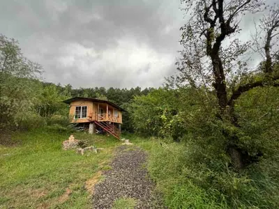 کلبه فلت جنگلی کیشخانی