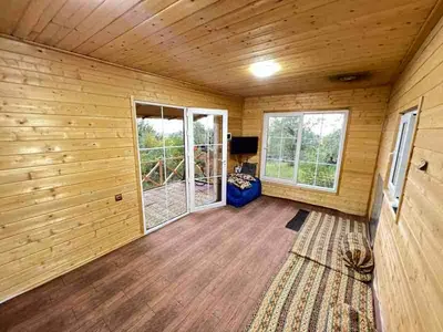 کلبه فلت جنگلی کیشخانی