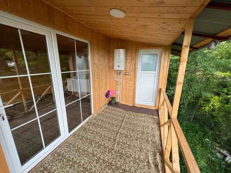 فلت جنگلی کیشخانی