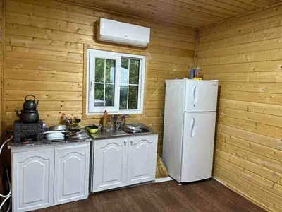 کلبه فلت جنگلی کیشخانی