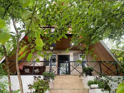 کلبه یک خوابه سوئیسی رویایی