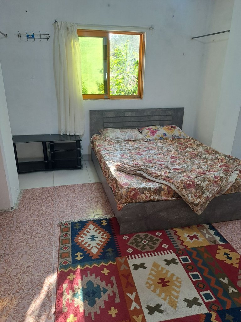 فلت ساحلی دریائی 1