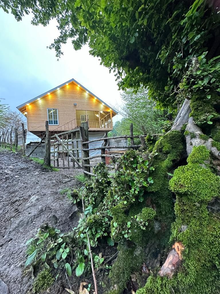 دوخوابه جنگلی عمو هوشنگ