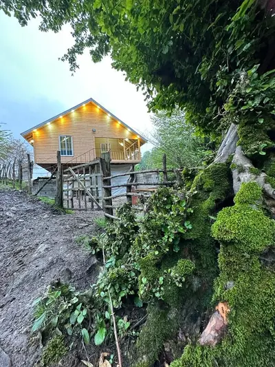 کلبه دوخوابه جنگلی عمو هوشنگ