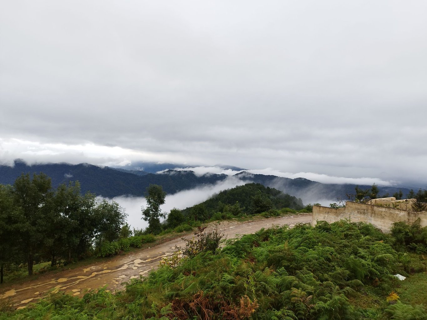 یکخوابه جنگلی هلودشت