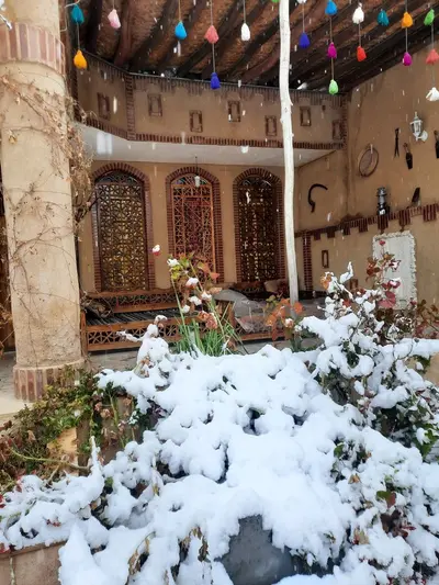 بومگردی گردو - واحد شیقون