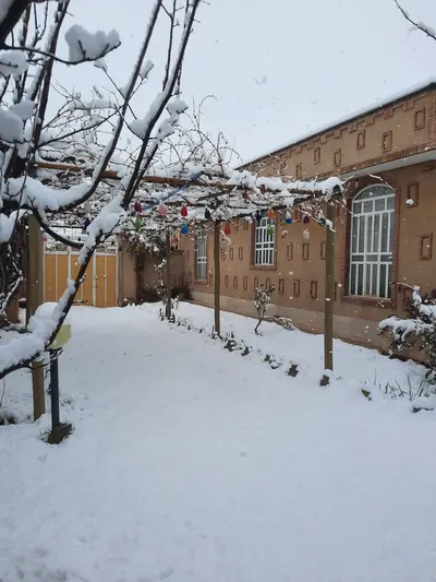 بومگردی گردو - واحد شیقون