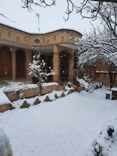 بومگردی گردو - واحد شیقون