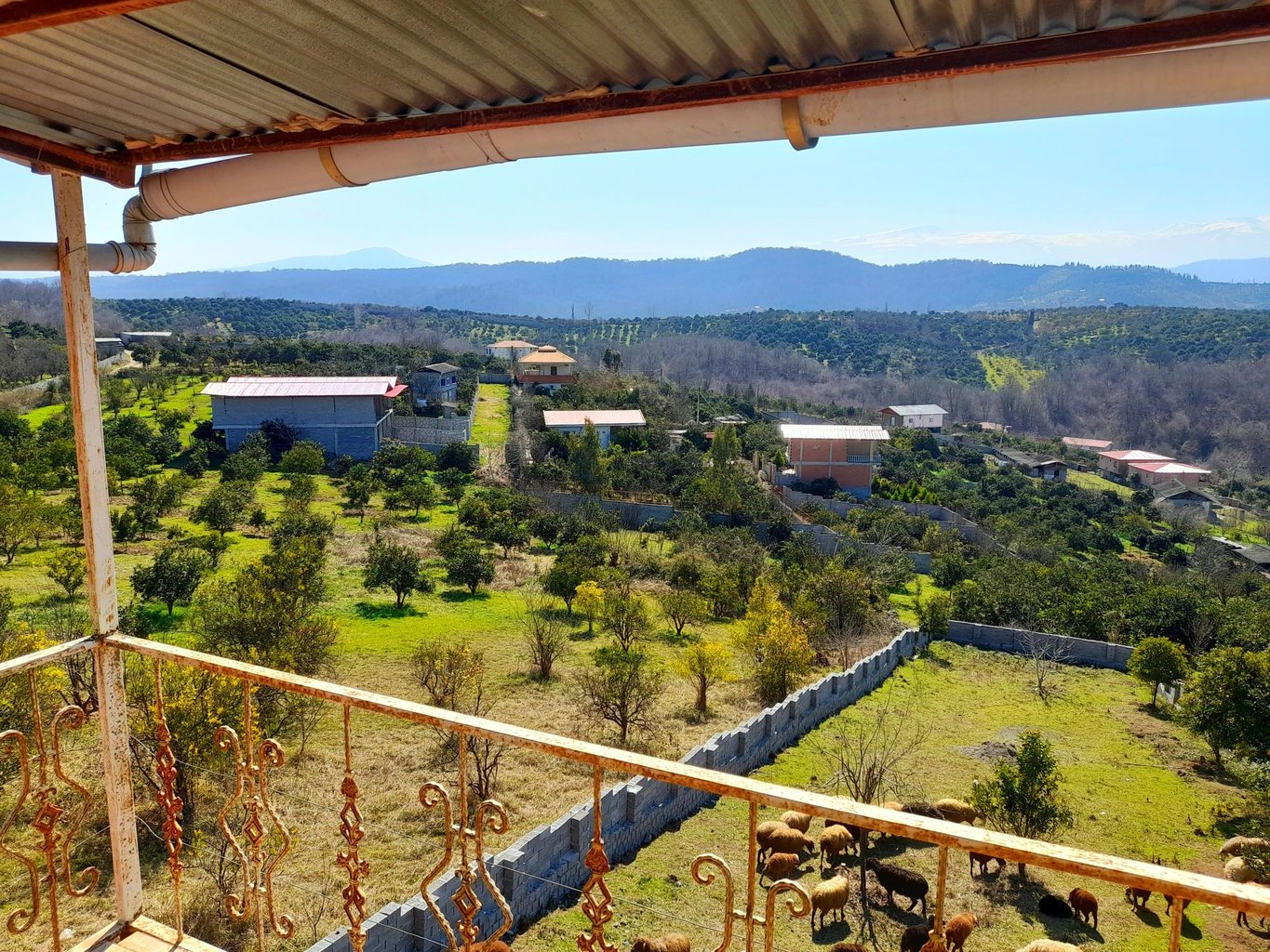 ویلا فلت جنگلی کیان