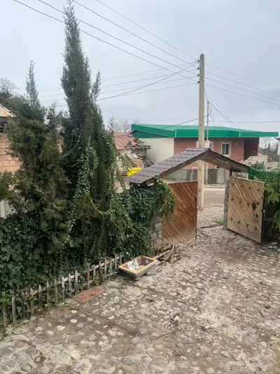 کلبه فلت نارگل