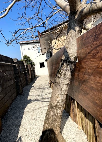 ویلا دوخوابه شالیزار سنگتجن