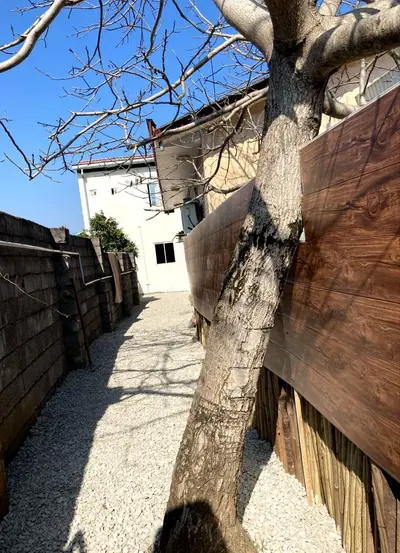 ویلا دوخوابه شالیزار سنگتجن