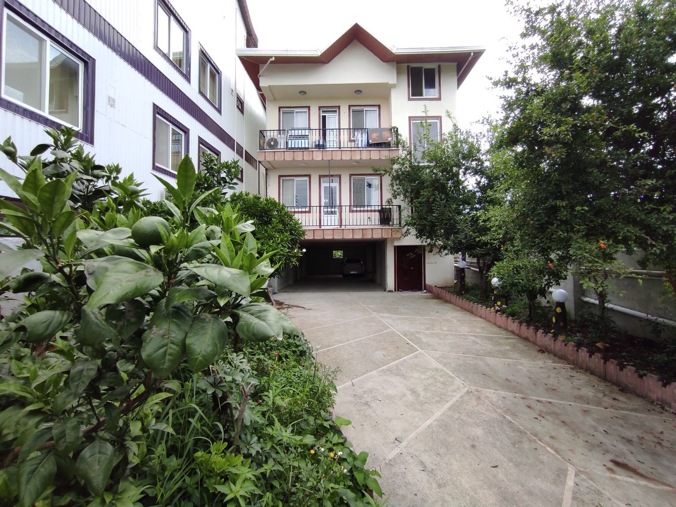 سه خوابه نیلوفر 1