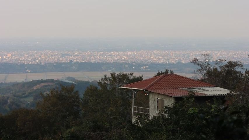 فلت جنگلی باغ بهشت