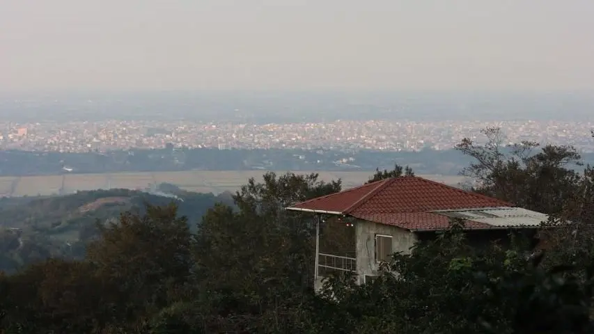 کلبه فلت جنگلی باغ بهشت - سوئیت و چشم انداز آن در روز