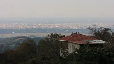 کلبه فلت جنگلی باغ بهشت