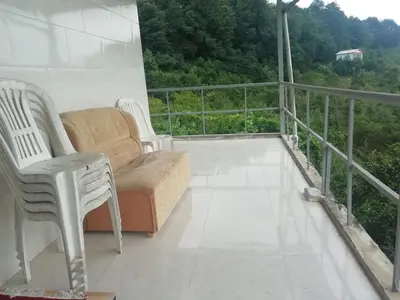 کلبه فلت جنگلی باغ بهشت