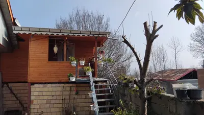 کلبه یک خوابه چوبی کوهپایه