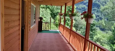 کلبه دوخوابه جنگلی آرامش طبیعت