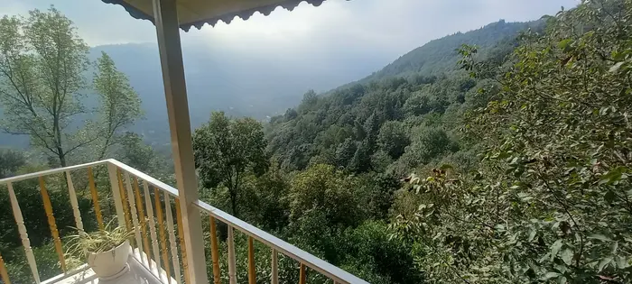 ویلا یک خوابه جکوزی دار جنگلی شعبانیان