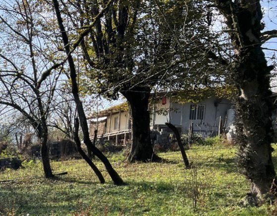 بومگردی البرز لفور - واحد 2