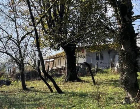 بوم گردی البرز لفور - واحد 1 - ویلای جنگلی