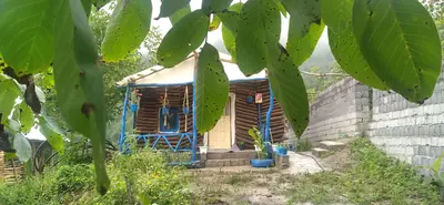 کلبه فلت کالاشی