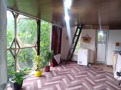 کلبه یک خوابه دیزین لاویج