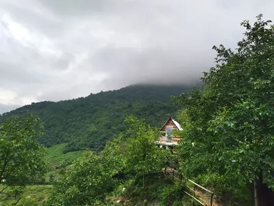 کلبه یک خوابه دیزین لاویج