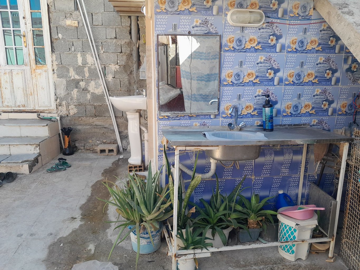 فلت بهشت روئی