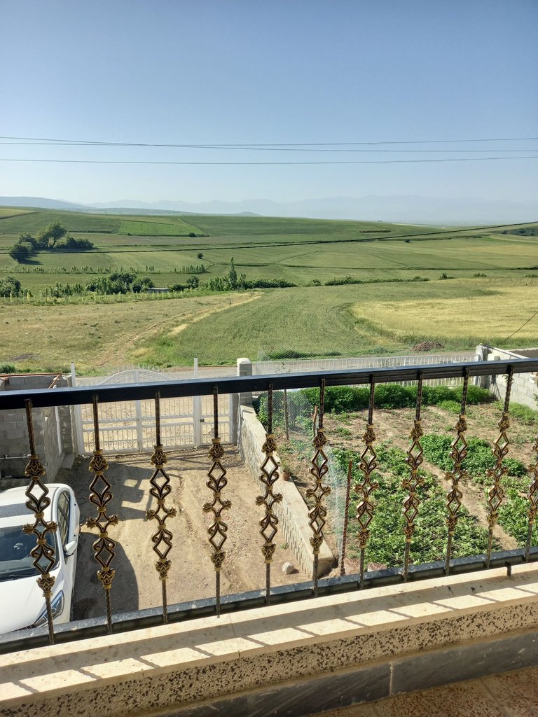 یک خوابه دشت بابونه ها فندقلو